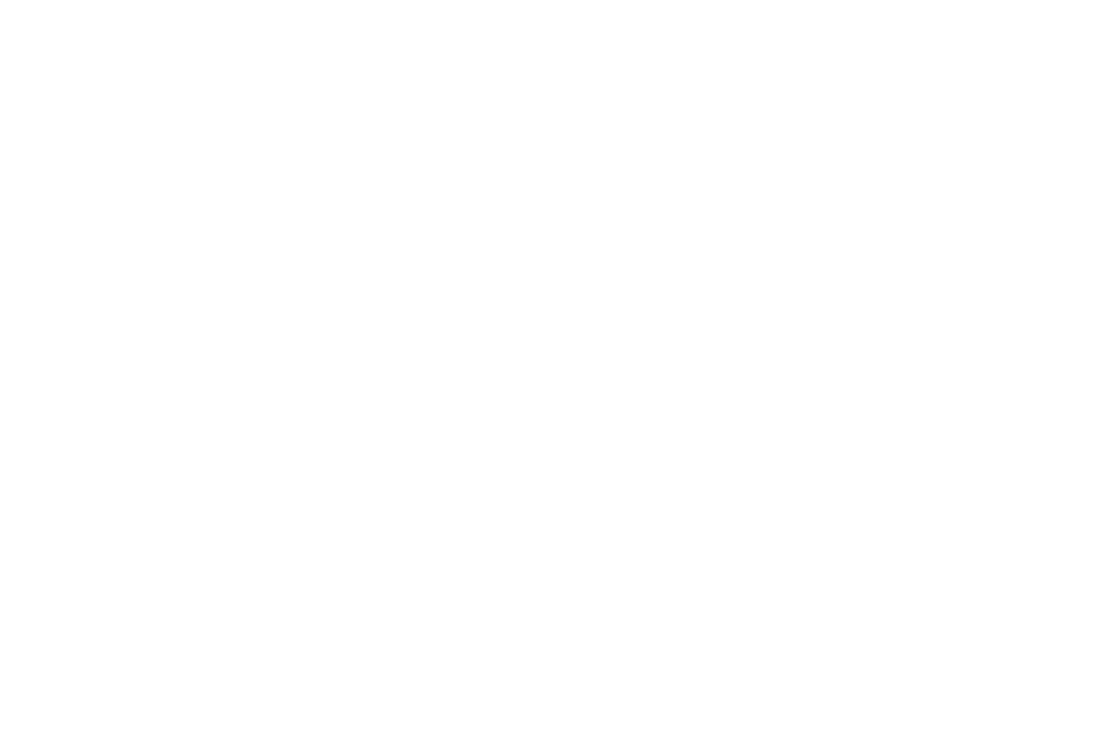 Celebrating 20th Anniversary 1999-2019